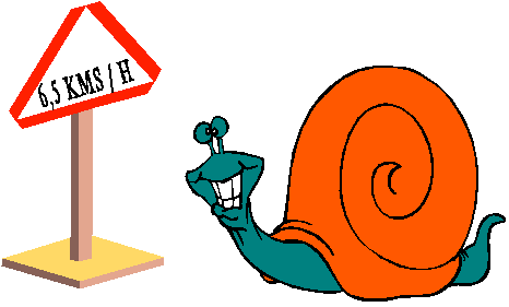 lerapide